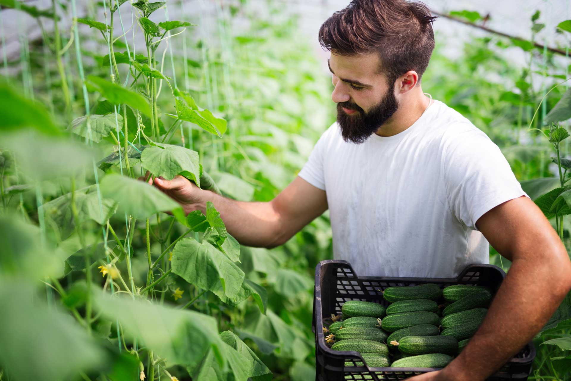 Farmer Generation For the Future