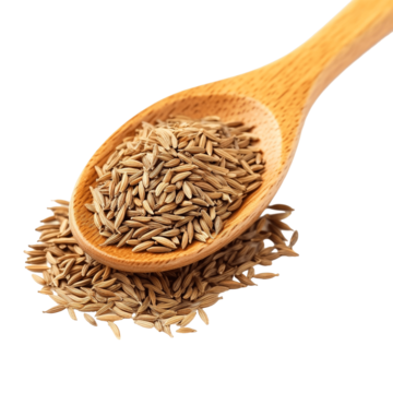 Cumin seeds spices export