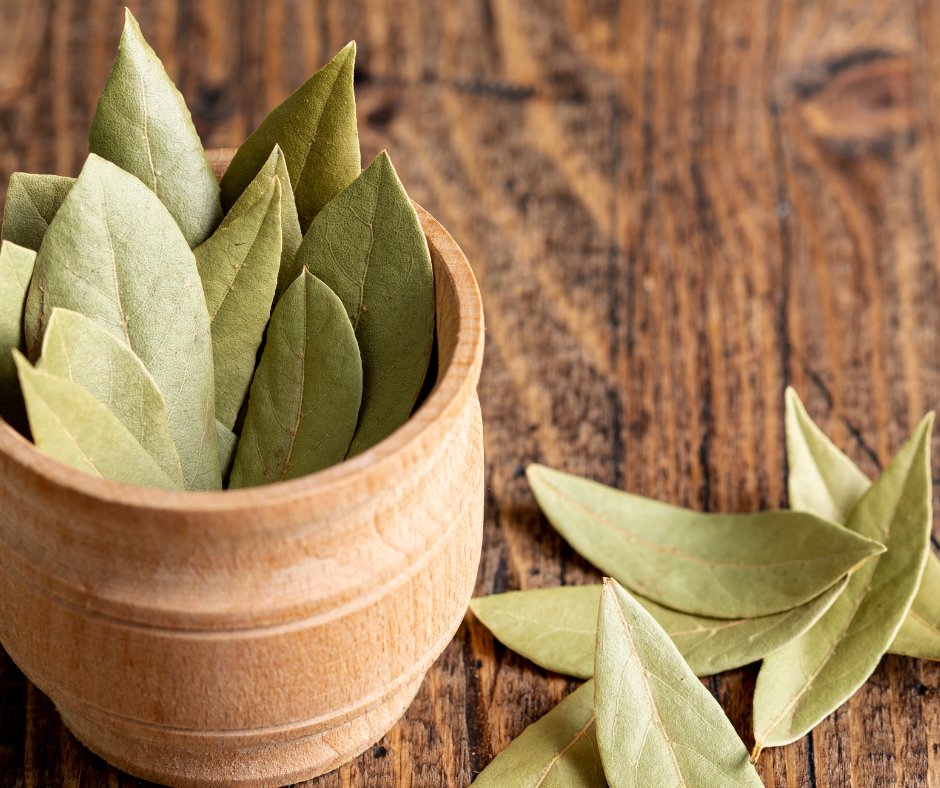 export bayleaf