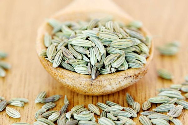 fennel-seeds-tout-55dbce1248f844f39d5a331b260045dc